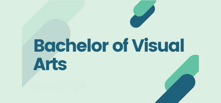 All about Bachelor of Visual Arts (BVA) course