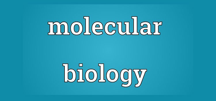 Career roles available after M.Sc Molecular Biology and Human Genetics