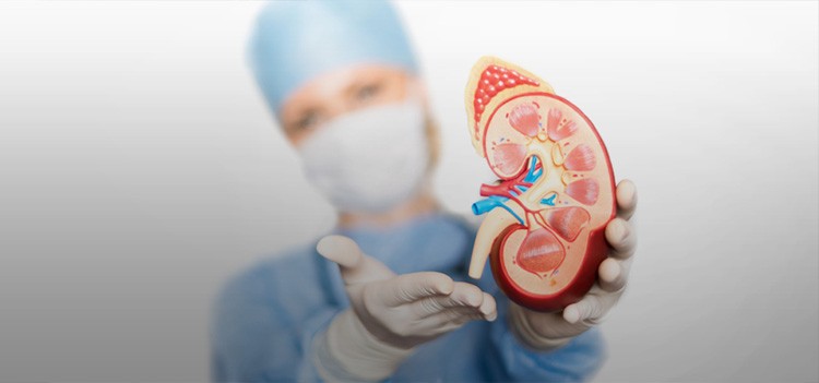 What is the Future after B.Sc Renal Dialysis Technology?