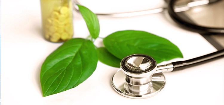 What are the Careers and Scopes and job roles for a Naturopathic Doctor?