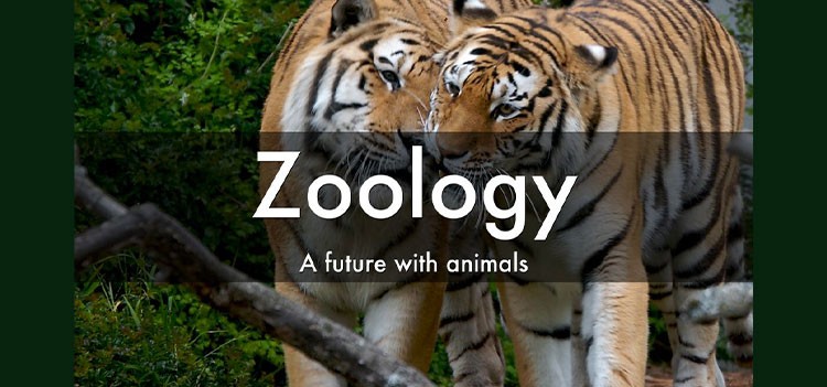 All about B.Sc Zoology