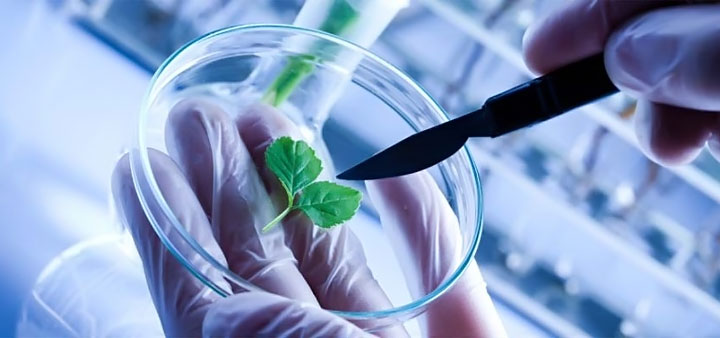 MSc Biotechnology Colleges in Bangalore