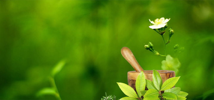 Ayurvedic Medical Colleges in Bangalore